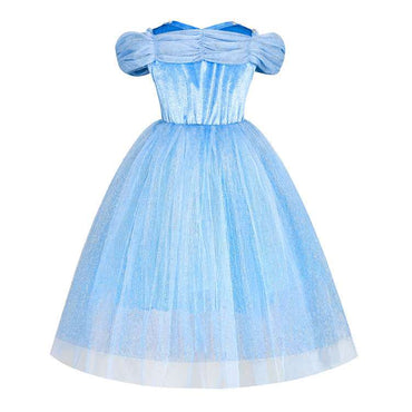 Embroidered Lace Blue With Butterflies Cinderella Princess Dresses