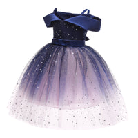 Embroidered Lace Star Navy Princess Dresses