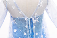 Elegant and Luxurious Frozen Elsa Princess Snow Blue Style8