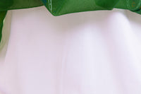 Frozen Anna Princess Dresses Stye3