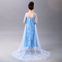 Elegant and Luxurious Frozen Elsa Princess Snow Blue Style8
