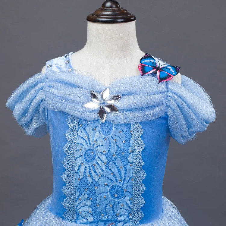 Embroidered Lace Blue With Butterflies Cinderella Princess Dresses