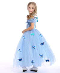 Embroidered Lace Blue With Butterflies Cinderella Princess Dresses