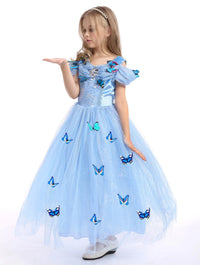 Embroidered Lace Blue With Butterflies Cinderella Princess Dresses