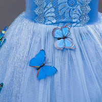 Embroidered Lace Blue With Butterflies Cinderella Princess Dresses