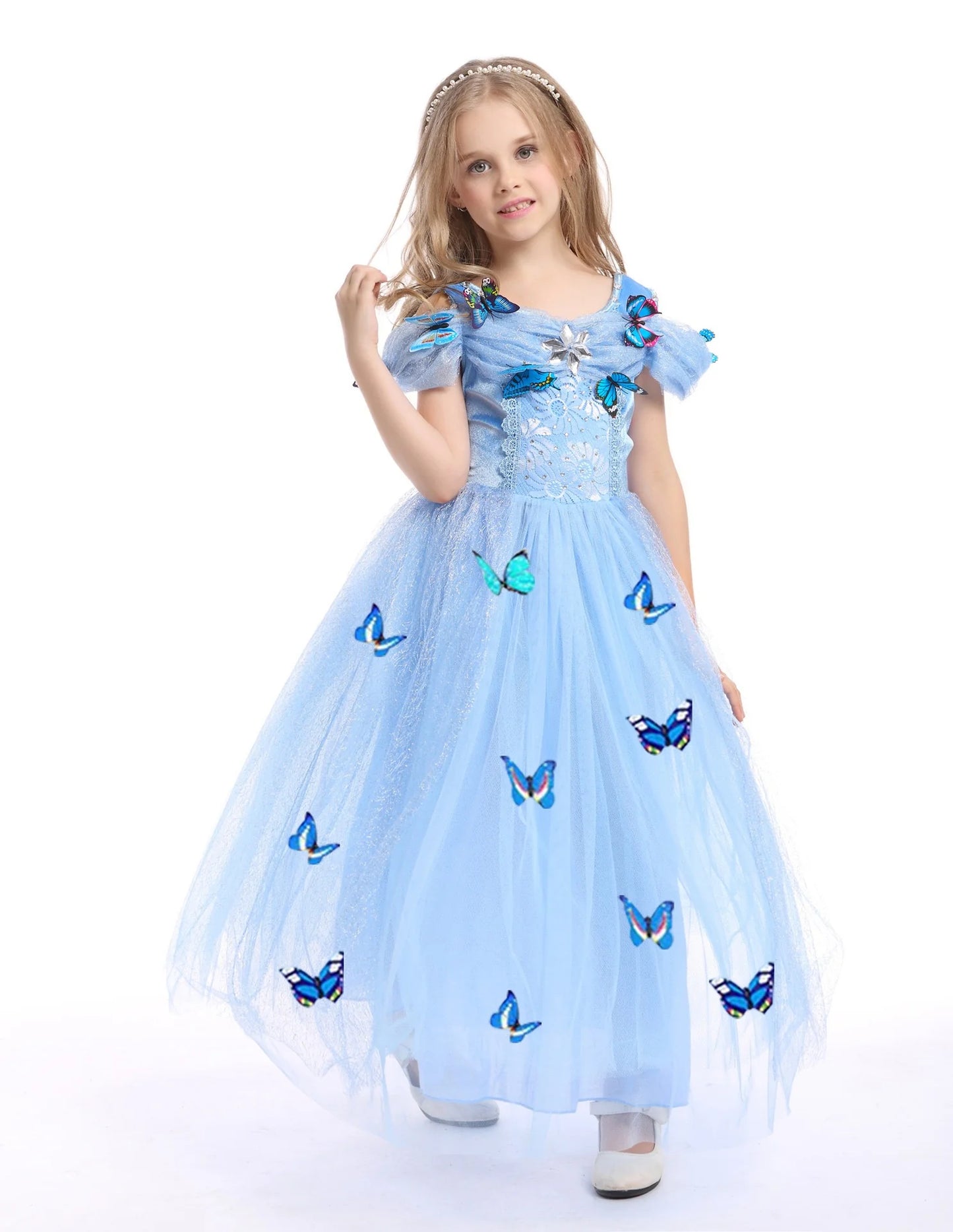 Embroidered Lace Blue With Butterflies Cinderella Princess Dresses