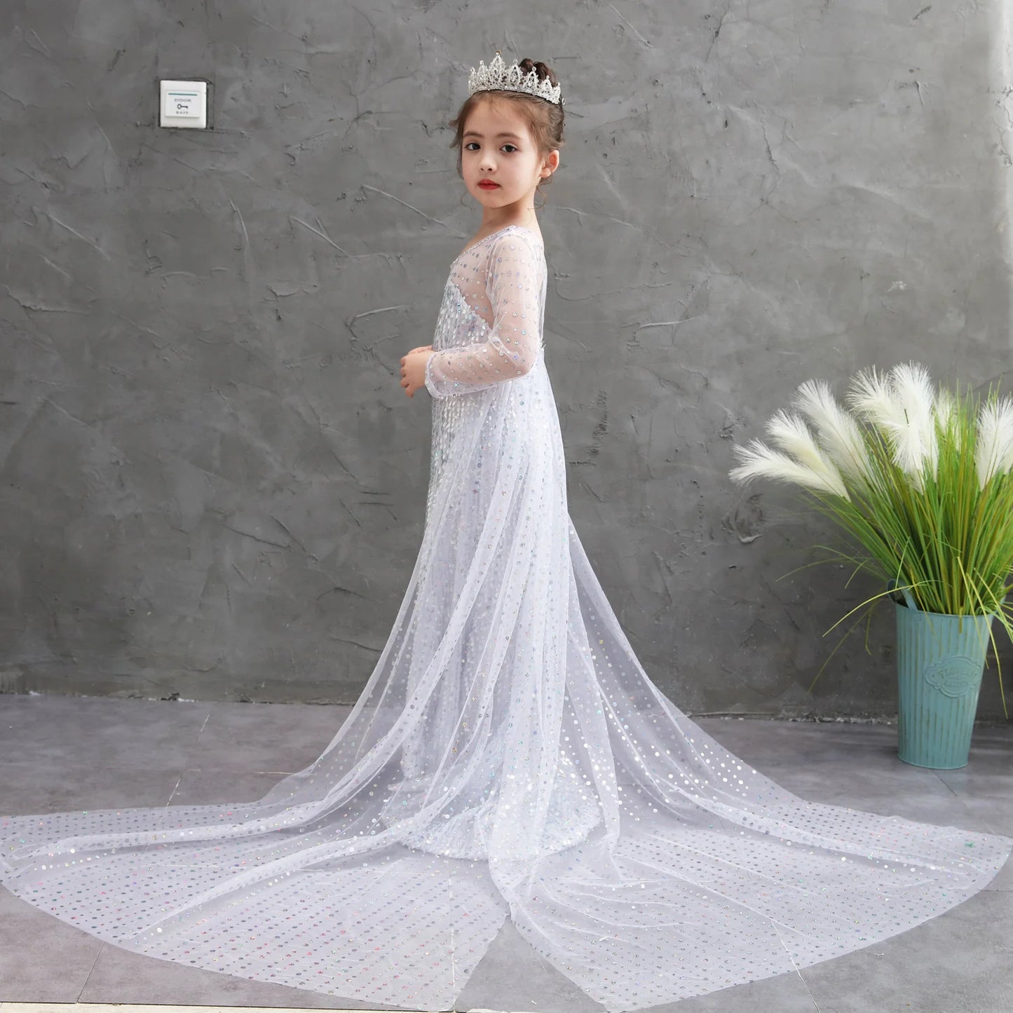 Princess Dresses Frozen Elsa Long Shinny White