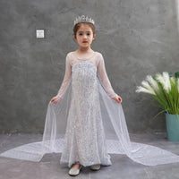 Princess Dresses Frozen Elsa Long Shinny White