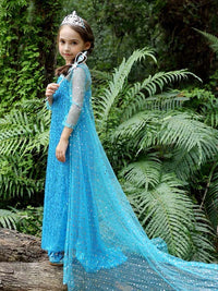 Elegant and Luxurious Frozen Elsa Princess Dresses Long Shinny Blue