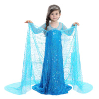 Elegant and Luxurious Frozen Elsa Princess Dresses Long Shinny Blue