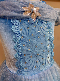 Embroidered Lace Blue With Butterflies Cinderella Princess Dresses