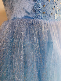 Embroidered Lace Blue With Butterflies Cinderella Princess Dresses