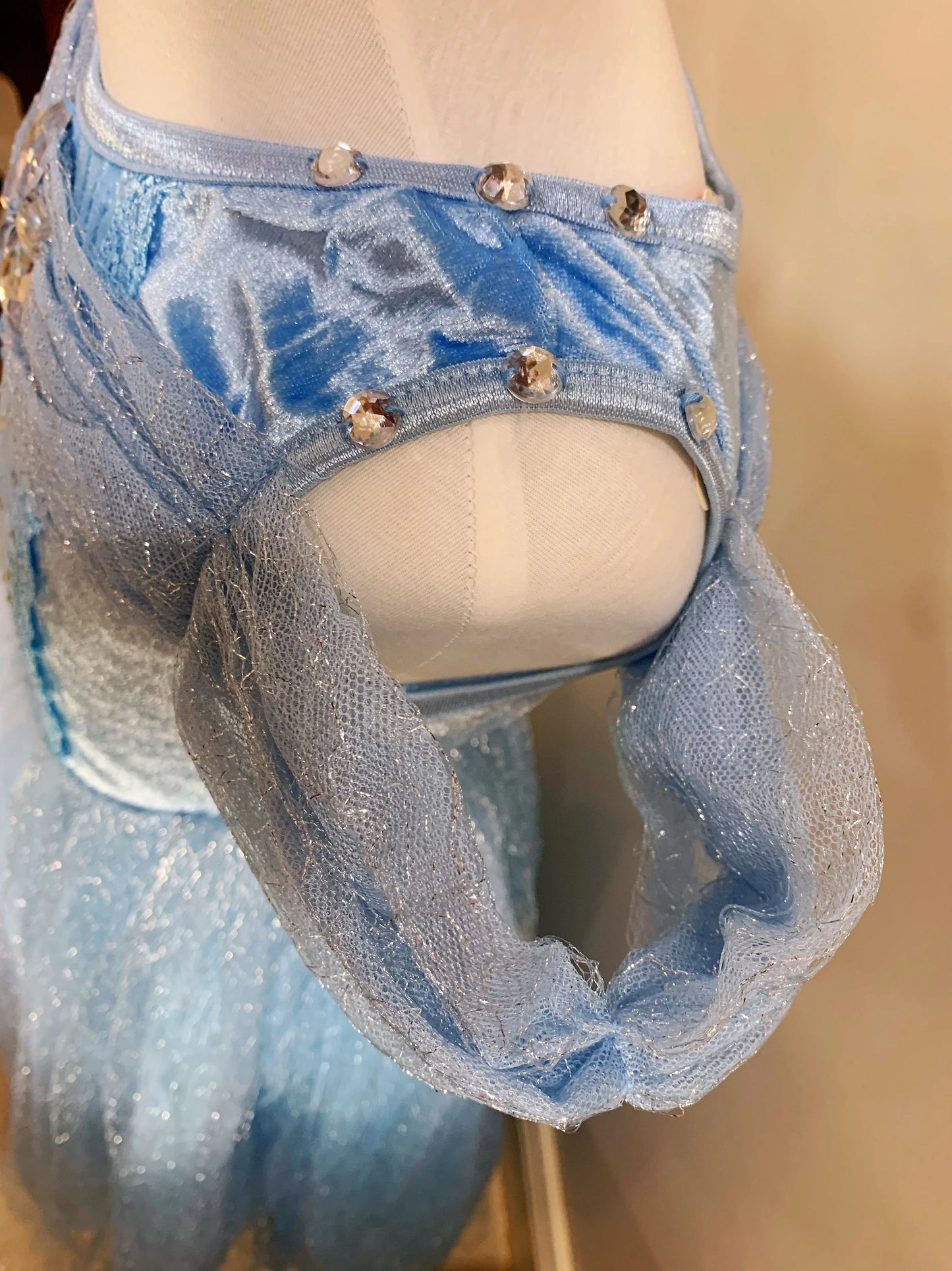 Embroidered Lace Blue With Butterflies Cinderella Princess Dresses