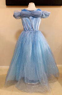 Embroidered Lace Blue With Butterflies Cinderella Princess Dresses