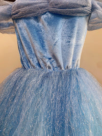 Embroidered Lace Blue With Butterflies Cinderella Princess Dresses