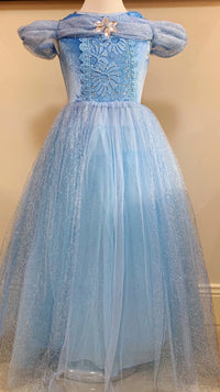 Embroidered Lace Blue With Butterflies Cinderella Princess Dresses