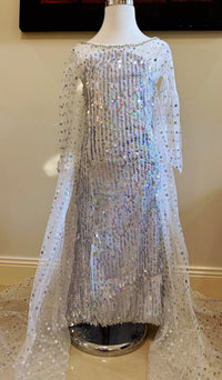 Princess Dresses Frozen Elsa Long Shinny White