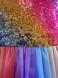 Rainbow Shinny Purple Princess Dresses