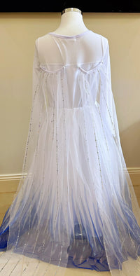 Elegant and Luxurious Frozen Elsa Princess Dresses White With Blue