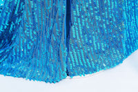 Elegant and Luxurious Frozen Elsa Princess Dresses Long Shinny Blue