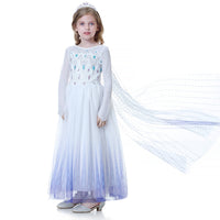 Elegant and Luxurious Frozen Elsa Princess Dresses White With Blue