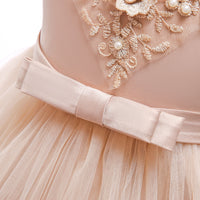 Embroidered Lace Luxury Champagne Piano Dancing Princess Dresses