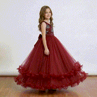 Embroidered Lace Luxury Claret Piano Dancing Princess Dresses