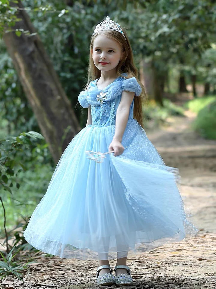 Embroidered Lace Blue With Butterflies Cinderella Princess Dresses