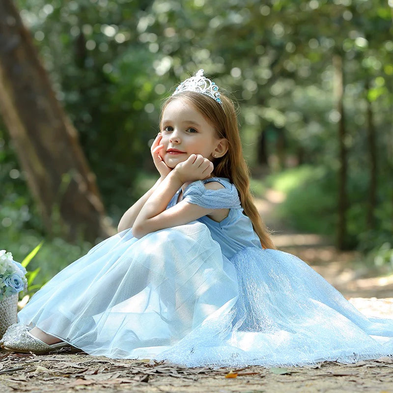 Embroidered Lace Blue With Butterflies Cinderella Princess Dresses