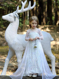 Princess Dresses Frozen Elsa Long Shinny White