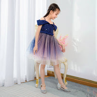 Embroidered Lace Star Navy Princess Dresses