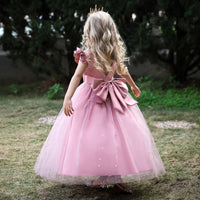 Embroidered Lace Luxury Highlight-Pink Piano Dancing Show Princess Dresses