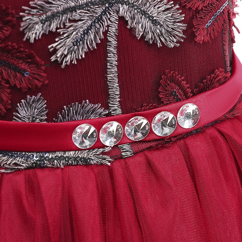 Embroidered Lace Luxury Claret Piano Dancing Princess Dresses