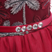 Embroidered Lace Luxury Claret Piano Dancing Princess Dresses