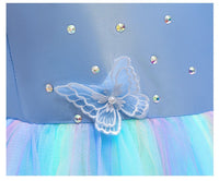 Embroidered Lace Rainbow Light Blue Cinderella Princess Dresses