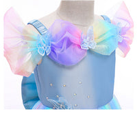 Embroidered Lace Rainbow Light Blue Cinderella Princess Dresses