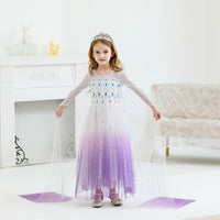 Elegant and Luxurious Frozen Elsa Princess Dresses White With Purple Style2