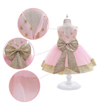 Embroidered Lace Princess Dresses Pink With Golden Star