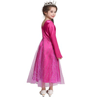 Elegant and Luxurious Frozen Elsa Princess Dresses Pink