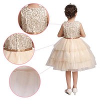 Embroidered Lace Christmas Golden Princess Dresses