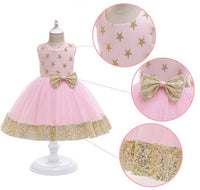 Embroidered Lace Princess Dresses Pink With Golden Star