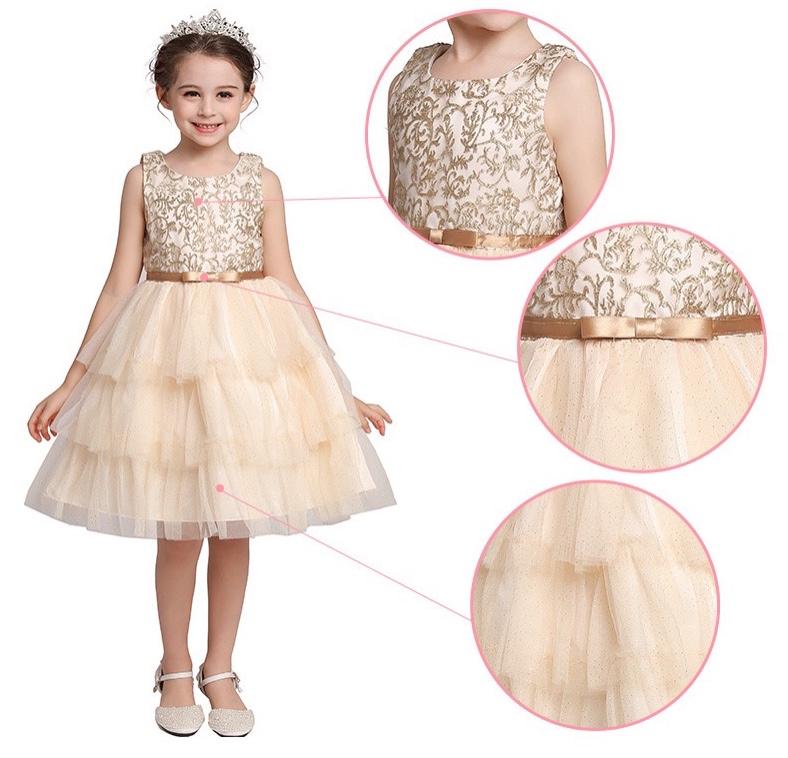 Embroidered Lace Christmas Golden Princess Dresses