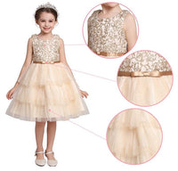 Embroidered Lace Christmas Golden Princess Dresses