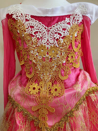 Embroidered Golden Lace Luxury Rose Red Costume Piano Dancing Sleeping Beauty Princess Dresses