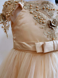 Embroidered Lace Luxury Champagne Piano Dancing Princess Dresses