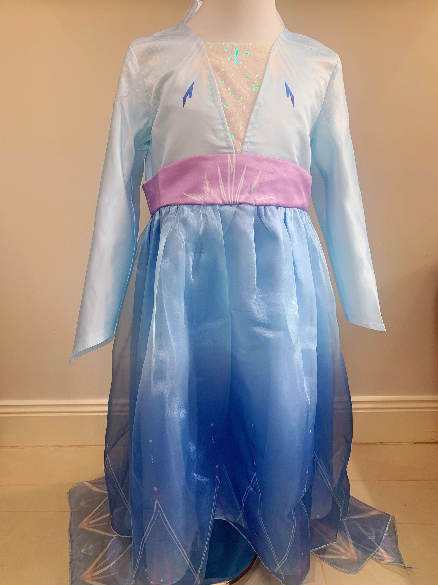 Elegant and Luxurious Frozen Elsa Light Blue Long Sleeve Princess Dresses