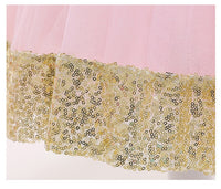 Embroidered Lace Princess Dresses Pink With Golden Star