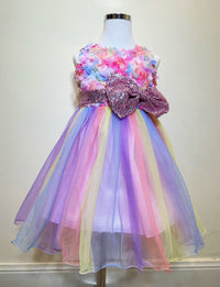 Rainbow Pink Flower Princess Dresses