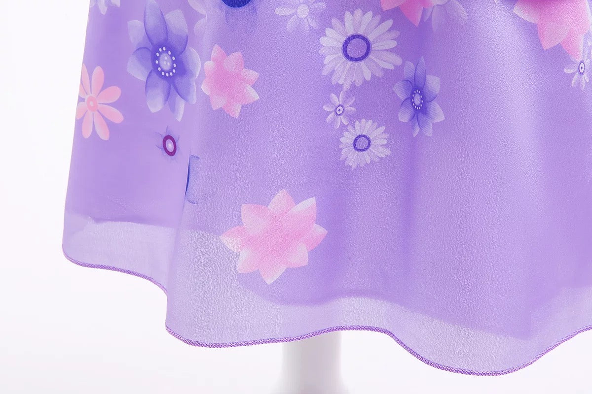 Embroidered Transparent Lace Purple Flower Costume Party Encanto Isabela Princess Dresses