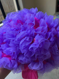 Girls Tutu Skirt Rose Red With Purple Edge